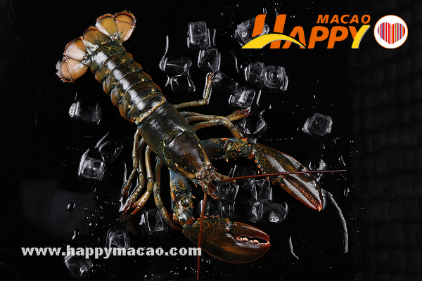 TDP-_Boston_Lobster_9