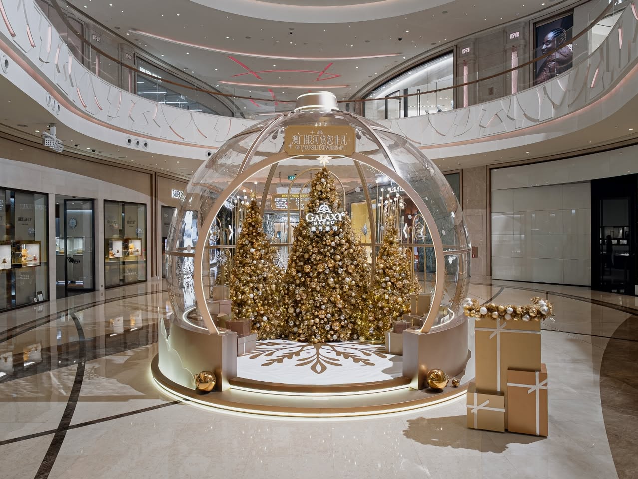 600084649_33614049718208930_1959074553337450675_n